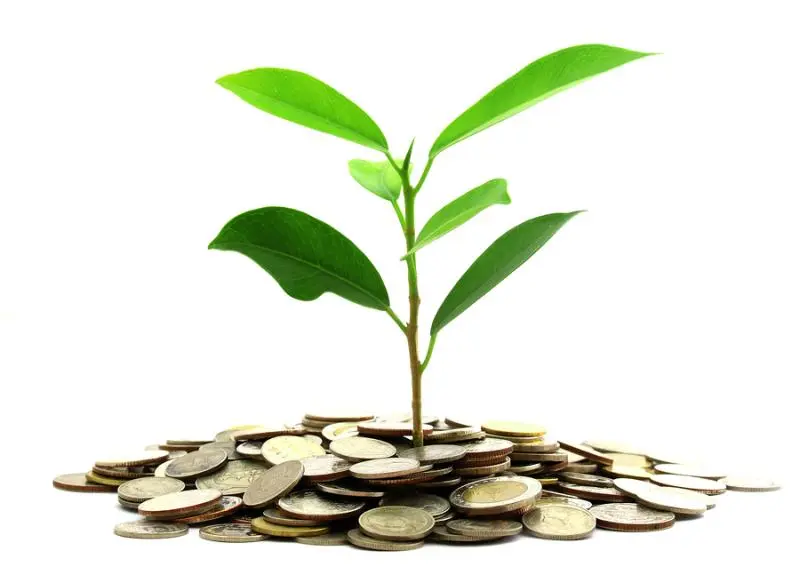 Инвестиции SKF в сохранение экологии | Свежие новости в Оренбурге